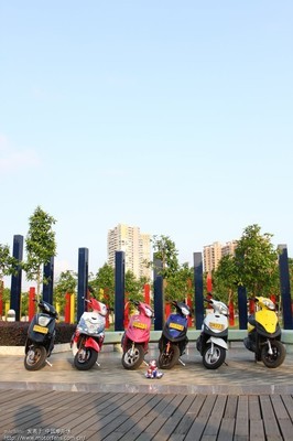 2010中山俊宏出品- 鲨鱼工厂花迅鹰 - 踏板论坛 - 雅马哈踏板摩托 - 摩托车论坛 - 中国第一摩托车论坛 - 摩旅进行到底!